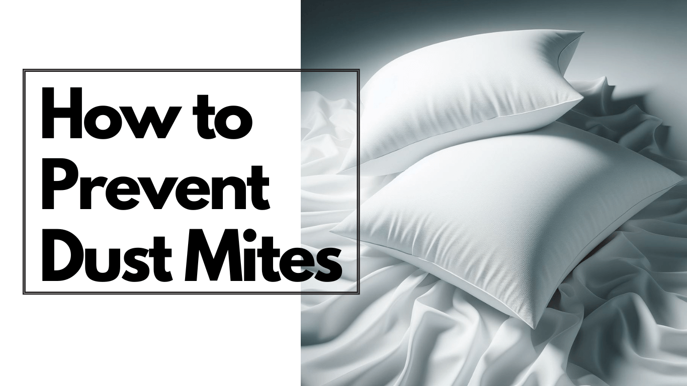 How To Prevent Dust Mites – Dust Mite Allergy Solutions