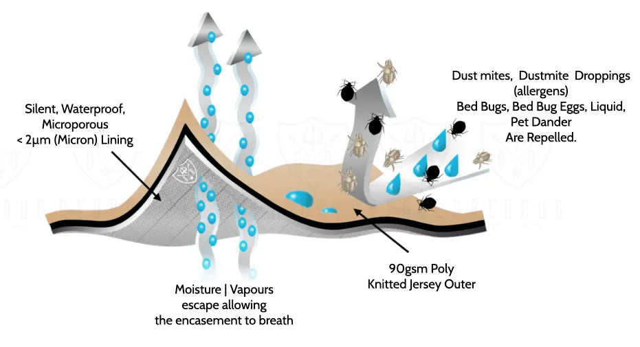 Dust Mite Mattress Protector barrier illustration I Dust Mite Allergy Solutions